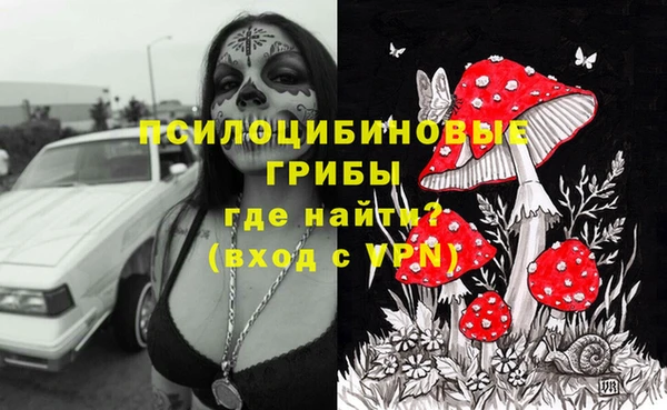 дмт Михайлов