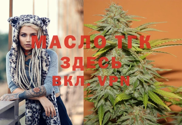 дживик Саяногорск