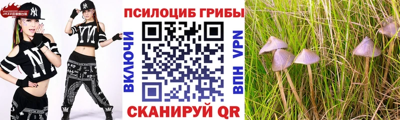 Галлюциногенные грибы мухоморы  blacksprut ссылки  Котельниково 