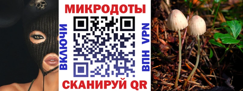 Псилоцибиновые грибы мухоморы Котельниково